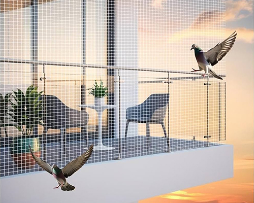 A S Bird Netting Gallery